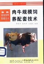 肉牛规模饲养配套技术 1997 PDF电子版封面 7533120000 李本亭等编著
