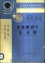 家畜解剖学实习图 1994 PDF电子版封面 7109027902 马仲华编著