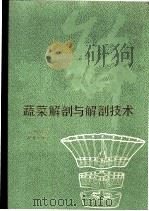 蔬菜解剖与解剖技术 1991 PDF电子版封面 7109017435 李扬汉著