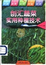 创汇蔬菜实用种植技术 1997 PDF电子版封面 7563011080 张学平主编
