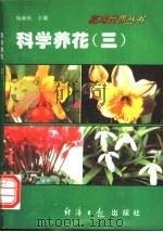 科学养花 3 1994 PDF电子版封面 7800368742 杨新杭主编