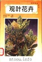 观叶花卉 1995 PDF电子版封面 7500618433 石宝錞编著