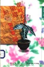 观叶花卉家庭培植500题（1999 PDF版）