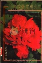 花卉盆景实用大典 1995 PDF电子版封面 7500616031 孟庆武,刘师汉主编