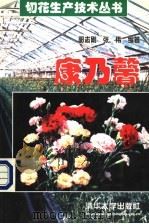 康乃馨 1999 PDF电子版封面 7302032467 郭志刚,张伟编著