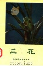 兰花 1984 PDF电子版封面 711201185X 沈渊如,沈荫椿著
