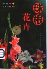 球根花卉 1999 PDF电子版封面 7109053954 金波,东惠茹编著