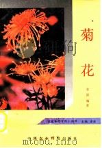 菊花 1993 PDF电子版封面 7800263800 金波编著