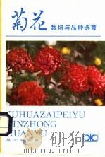 菊花栽培与品种选育 1983 PDF电子版封面 16204·98 晏才毅编著