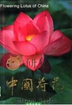中国荷花 中英文对照 1997 PDF电子版封面 750820381X 邹秀文等编著