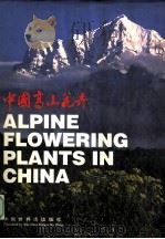 中国高山花卉 1997 PDF电子版封面 7505203231 郎楷永等摄,云南省林业科学院编