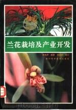 兰花栽培及产业开发 1994 PDF电子版封面 7536427883 林元洪编著
