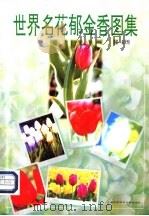 世界名花郁金香集图 1997 PDF电子版封面 754391185X 朱天明摄影