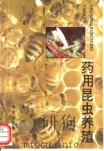 药用昆虫养殖 1995 PDF电子版封面 7800229726 王林瑶,张立峰编著