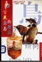 百灵鸟与画眉鸟 1999 PDF电子版封面 7109059855 王增年编著