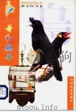 八哥与鹩哥 1999 PDF电子版封面 7109061086 王增年主编