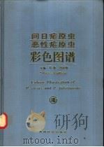 间日疟原虫恶性疟原虫彩色图谱 1996 PDF电子版封面 7805846561 郑璇,刘祥焜主编;贵州省寄生虫病研究所编