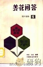 养花问答 4 观叶植物 1993 PDF电子版封面 7503809744 钟阳,方诚编著