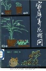 家庭养花顾问 1991 PDF电子版封面 7537500630 魏秋子,王娜拉编