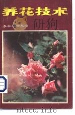 养花技术 1982 PDF电子版封面 16204·91 杨兴编