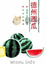 德州西瓜 1989 PDF电子版封面 7109013847 郑世杰,贺洪军编著