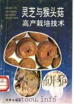 灵芝与猴头菇高产栽培技术 1996 PDF电子版封面 7508202406 陈国良编著