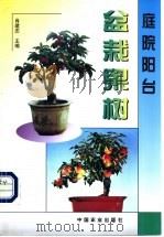 庭院阳台盆栽果树 1999 PDF电子版封面 7109058131 肖建忠主编