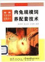 肉兔规模饲养配套技术 1998 PDF电子版封面 7533120728 张凤祥等编著