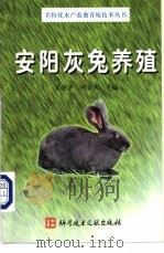 安阳灰兔养殖 1998 PDF电子版封面 7502331190 莫建华,何金泉主编