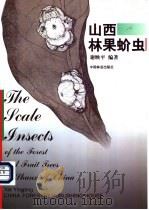 山西林果蚧虫 1998 PDF电子版封面 7503819944 谢映平编著