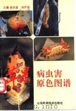 苹果病虫害原色图谱 1995 PDF电子版封面 7533115538 徐洪富,刘开启主编