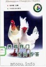养鸡窍门百问百答 1998 PDF电子版封面 7109050742 杜华锐主编