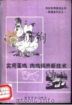 实用蛋鸡、肉鸡养殖新技术（1992 PDF版）