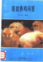 高效养鸡问答 1994 PDF电子版封面 7502915885 葛人友编著