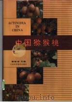 中国猕猴桃   1993  PDF电子版封面  7533111907  崔致学主编 