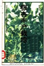 银杏丰产栽培 1993 PDF电子版封面 7805725438 邢世岩编著