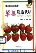 草莓设施栽培 1998 PDF电子版封面 7503820055 赵春生,石磊等编著