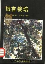 银杏栽培 1993 PDF电子版封面 7502319379 侯九寰等编著