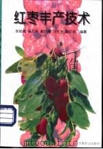 红枣丰产技术 1998 PDF电子版封面 7109051234 张陆绪等编著