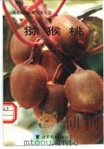 猕猴桃最新实用技术 1994 PDF电子版封面 750622089X 张有平,吴新计编著