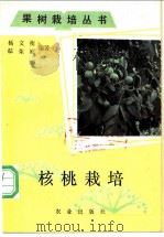 核桃栽培 1987 PDF电子版封面 7109018156 杨文衡,郗荣庭编著
