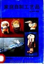 家庭自制工艺品   1991  PDF电子版封面  754380297X  韩晓非编著 