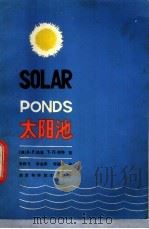 太阳池 1985 PDF电子版封面 13202·75 (美)法恩,(美)肖特著;张鹤飞等译