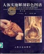 人体实地解剖彩色图谱 第2版 1994 PDF电子版封面 7117020822 C.C.Chumbley,R.T.Hutchings著;杨