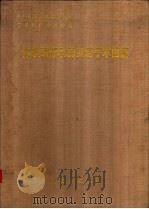 体表颈部乳房血管手术图解   1997  PDF电子版封面  7542606824  孟承伟，张延龄主编 