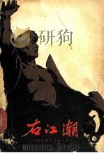 右江潮 广西民兵革命斗争故事集 1979 PDF电子版封面 10113·128 中国人民解放军广西军区政治部编