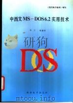 中西文MS-DOS6.2 实用技术 1995 PDF电子版封面 朱方,常建军