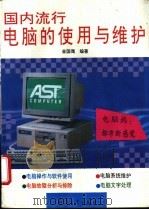 国内流行电脑的使用与维护 1994 PDF电子版封面 7800388603 金国鹰编著