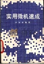 实用微机速成 1993 PDF电子版封面 7225006630 罗海林编著