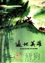 遍地英雄-江苏民兵革命斗争故事集 1973 PDF电子版封面 江苏省军区政治部编
